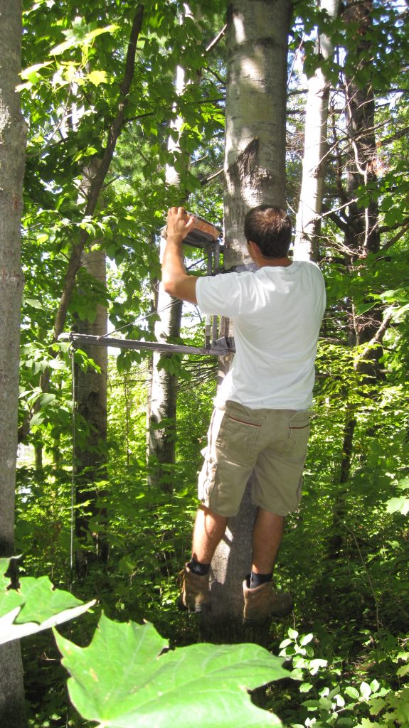 Hanging Stands And Strategy On New Bow Hunting Properties Steve