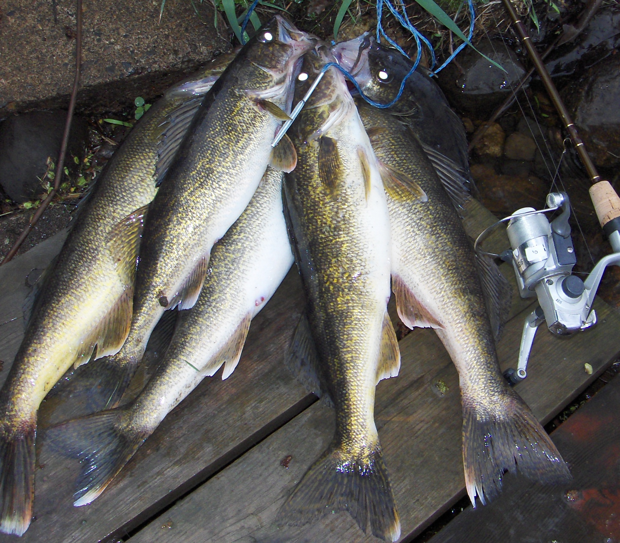 Devil S Lake North Dakota Steve Carney Outdoors   Stuff 018 