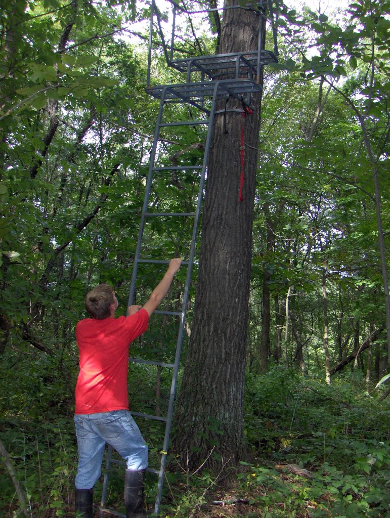 Bear Opener / Tree Stands Steve Carney Outdoors