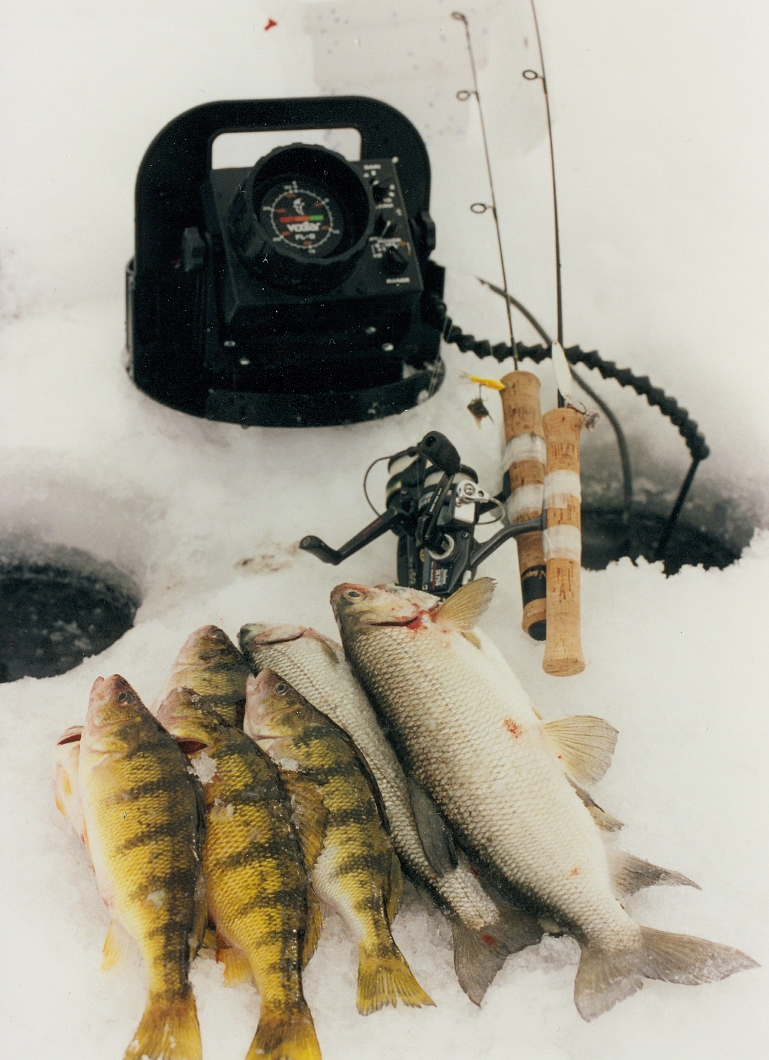 Anglers for change on Mille Lacs Lake.